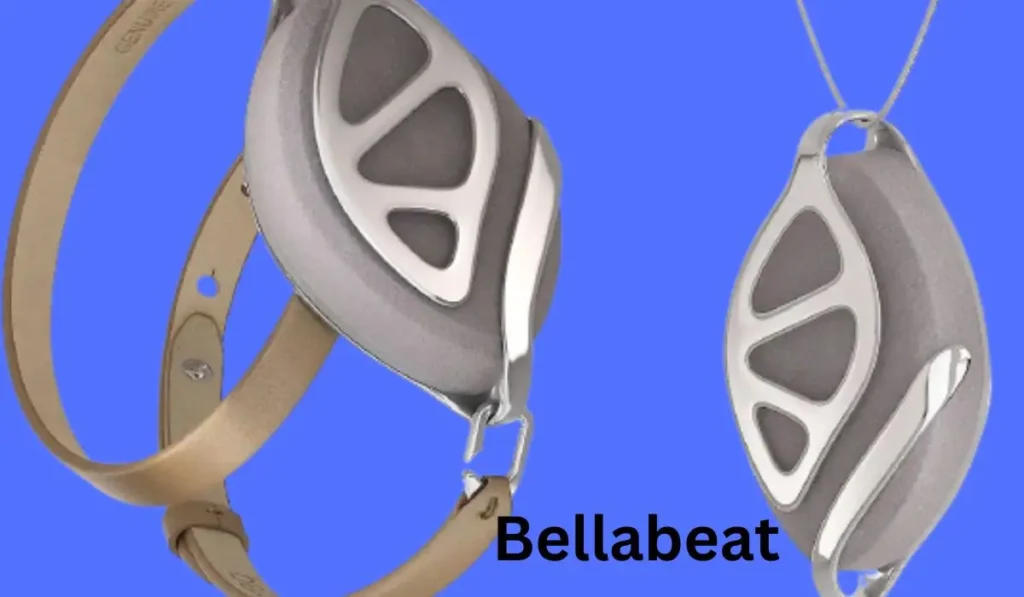 Bellabeat vs Fitbit