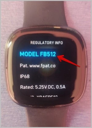 Model Number of Fitbit 1