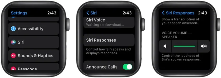  Siri not working on Apple Watch